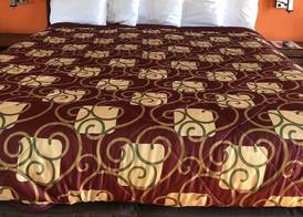Encore Motel Near Marina Del Rey, Culver City & Venice 3