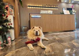 Jeonju Hotel The Vincent 3