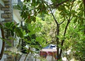 Casa Furrer 4