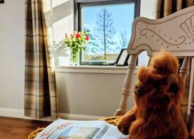 Ben Cruachan Inn - Restaurant, Pub with Rooms 3