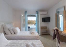 Wild View Mykonos 5
