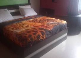 Intelligent Hotel and Suites 3