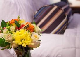 Federal City Inn & Suites 5