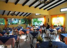 Soller Garden 2