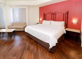 Holiday Inn & Suites GUADALAJARA CENTRO HISTORICO by IHG 5