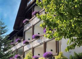 Landhotel Henkenhof Willingen 2