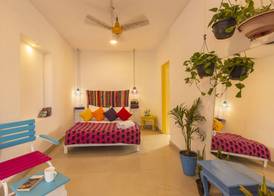 goSTOPS Lite Jaipur 4