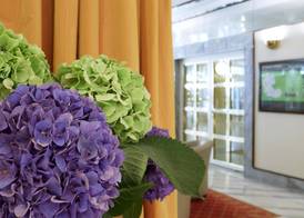 Living Hotel Kaiser Franz Joseph 2