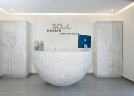 Naxian Soul 2
