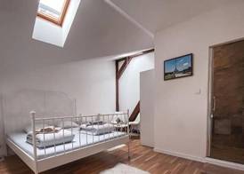 Blue Lotus Hotel & Hostel 4