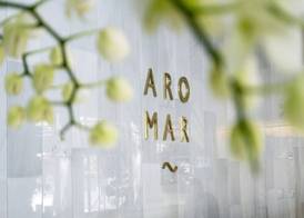 Hotel Aromar 3