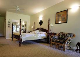 Island Goode's - Luxury Adult Only Accommodation near Hilo 4