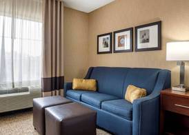 Comfort Inn Meadowlands 5