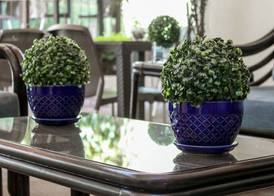 Las Magnolias Hotel Boutique 5
