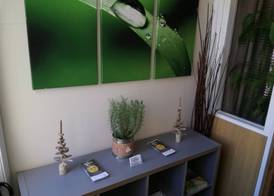 Driftwood B&B Weymouth 2