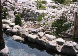Tomiya 5