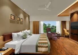 The Fern Residency Udaipur, Series by Marriott 4