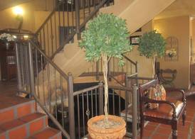 Dio Dell Amore Guest House 4