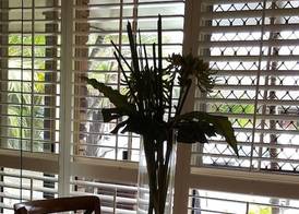 Ballina Palms Boutique Motel 5