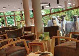 Nells Park Hotel 3