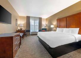 Comfort Inn & Suites Tavares North 5