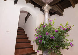 Apartamentos Nahira Suites 3000 5