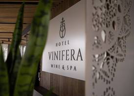 Hotel Vinifera Wine & Spa 5 Stars Superior 2