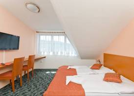 Hotel Slavia 5