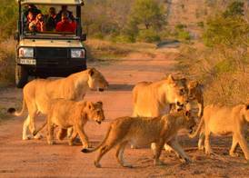 Hoyo Hoyo Safari Lodge 5