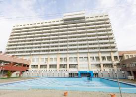 Hotel Mures 5