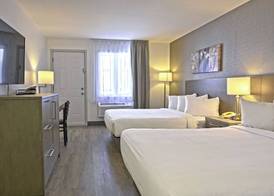 Repotel Levis 4
