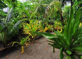 Blue Lagoon Beach Resort 2