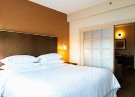 Lakeview Signature, Trademark Collection by Wyndham 5