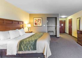 Comfort Inn & Suites Madisonville 5