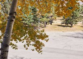 The Inn at Aspen 4