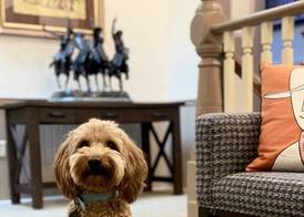 Hotel Arvon 3
