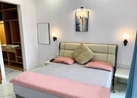 Ace Stayz - Boutique Hotel Near DLF Mall Sector 45, Noida 4