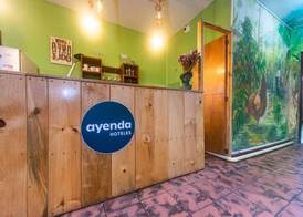 Ayenda Cafetal Arami 2