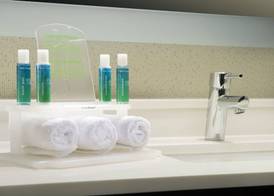 Holiday Inn Express & Suites CHARLOTTESVILLE - RUCKERSVILLE by IHG 4