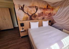 Fletcher Duinhotel Hotel Burgh Haamstede 3