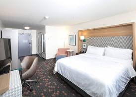 Holiday Inn & Suites ANN ARBOR UNIV. MICHIGAN AREA by IHG 5