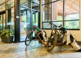 Aava Whistler Hotel 4