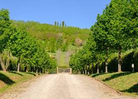 Borgo Malvasia- La Quercia 3