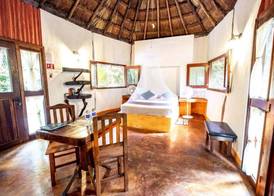 Jolie Jungle Eco Hotel 3