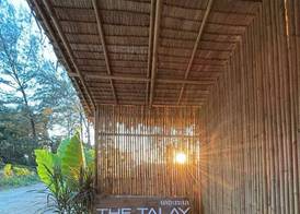 The TALAY 2