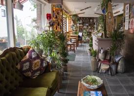 Private and peaceful one room apartments 2