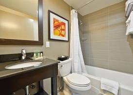 Holiday Inn NYC - LOWER EAST SIDE by IHG 2