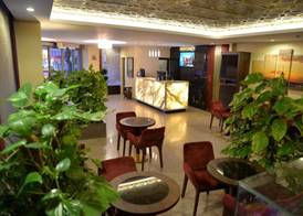 Golden Siyav Hotel 5