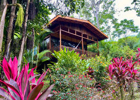 Heliconias Nature Inn & Hot Springs 5