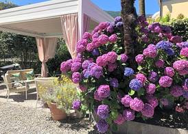 Hotel Antica Stallera 2